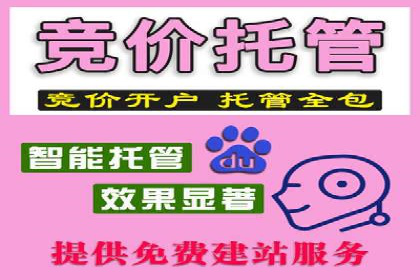 百度竞价推广成功案例解析